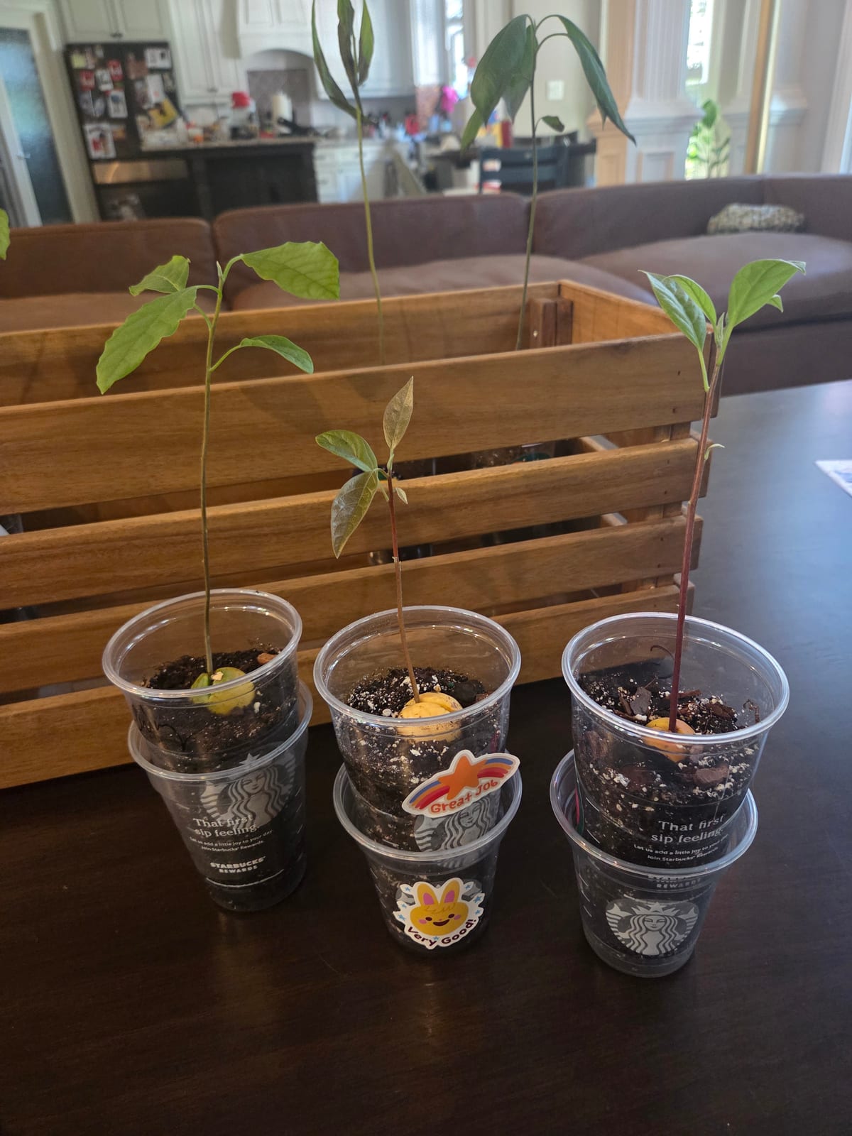 This week, in soil