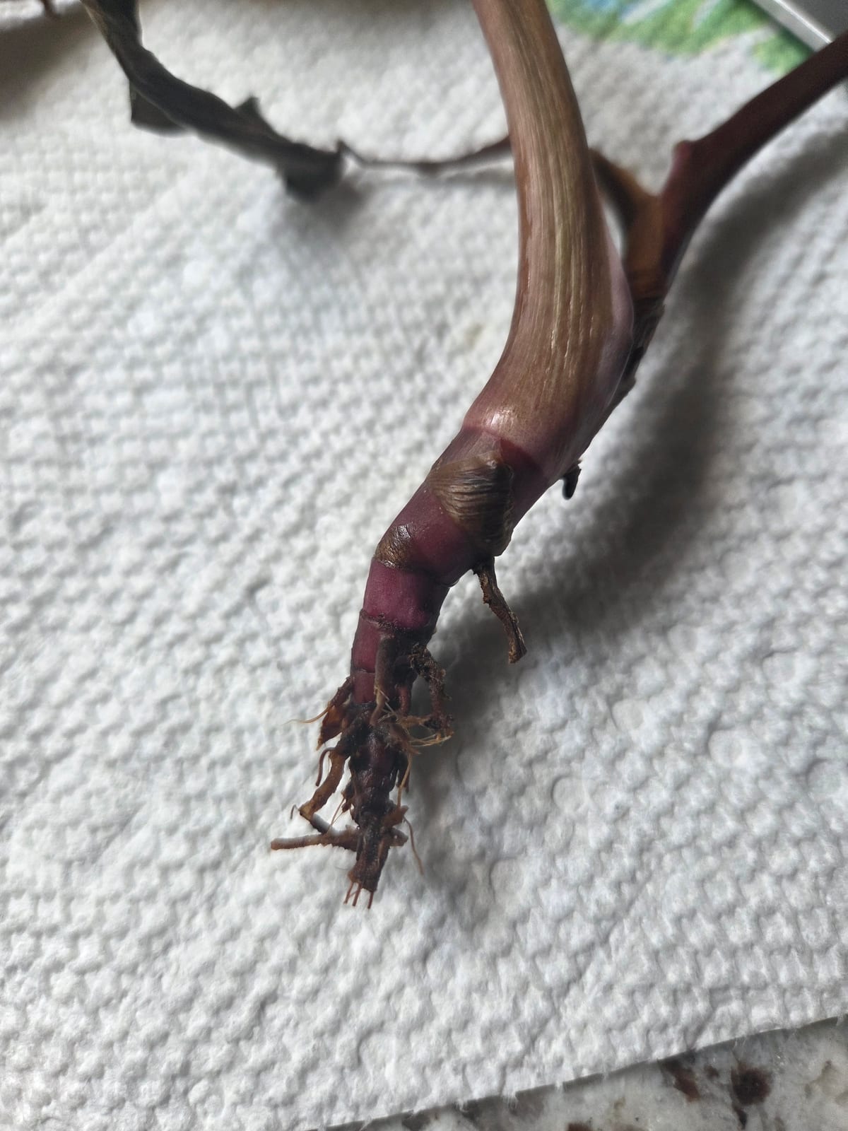 Week 9 — Wrong About the Waiting